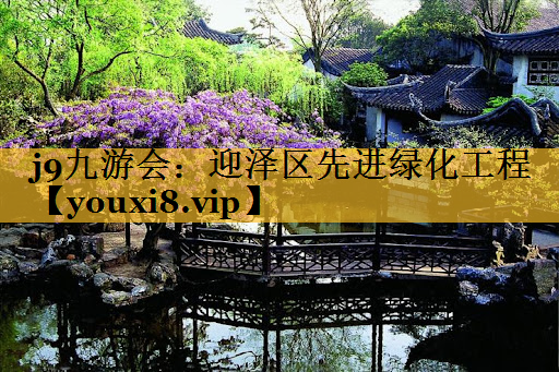 迎泽区先进绿化工程