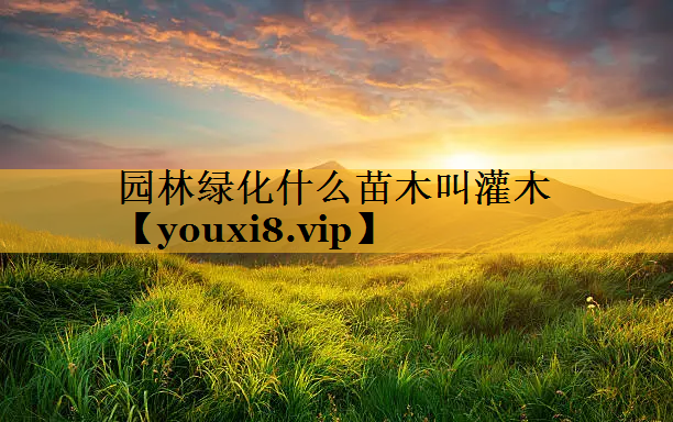 园林绿化什么苗木叫灌木