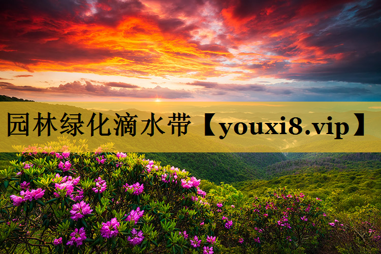 园林绿化滴水带