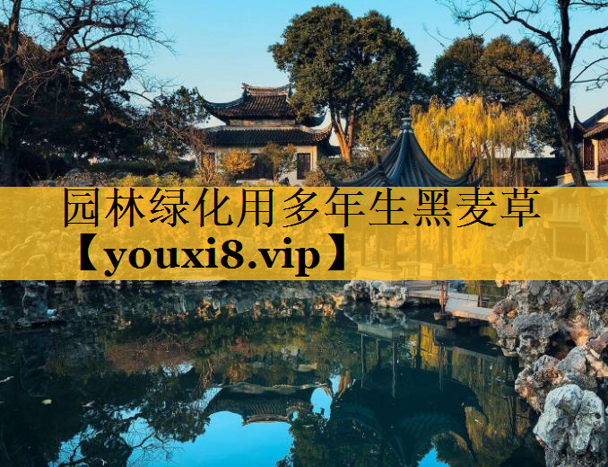 园林绿化用多年生黑麦草