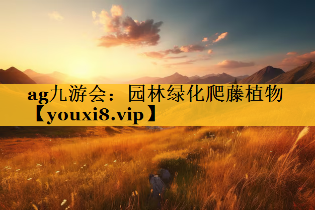 园林绿化爬藤植物